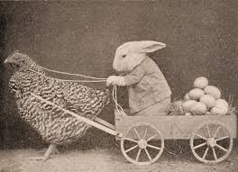 Image result for funny easter pictures
