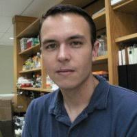 The Herbert Wertheim UF Scripps Institute for Biomedical Innovation & Technology Employee Christopher Haga's profile photo