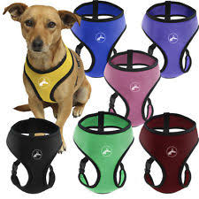 Image result for +dog