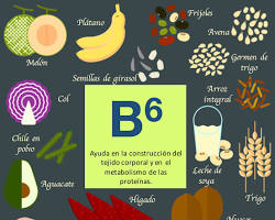 Imagen de Vitamina B6 (Piridoxina)