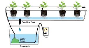 Hasil gambar untuk hydroponic