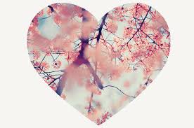 Résultat de recherche d'images pour "image trop swag"