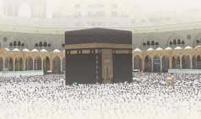 صحيفة عاجل - News update