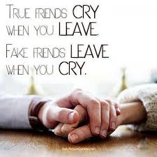Image result for friendship quotes