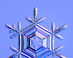 Dendrite snowflake