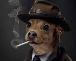 Image of dog wearing a detective hat
