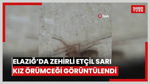 Habertürk - News update