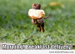 Funny animals situations quotes 2014 via Relatably.com