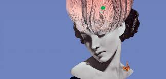 News source: Santé publique France