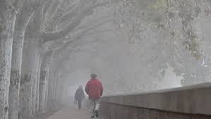 News source: ladepeche.fr