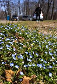 News source: Yahoo!ニュース