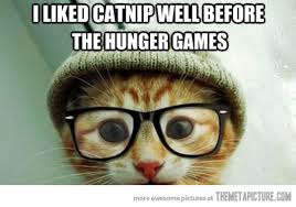 funny-hipster-kitten-glasses.jpg via Relatably.com