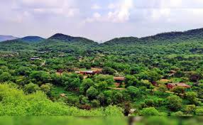Aravalli Row In Top Court Again, Activist Writes To Chief Justice, President