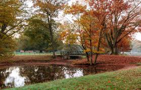 Výsledek obrázku pro autumn
