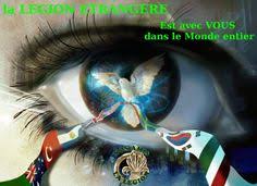 Image result for World Foreign Legions