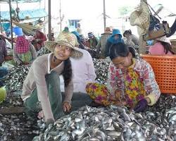 Fishing on Tonle Sap Lake, Cambodia