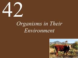 Image result for organisms and their environment