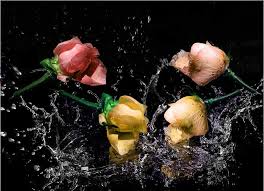 images