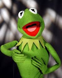 Image result for kermit happy feet