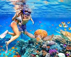 Image of Snorkeling in Hawaii