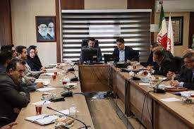 کارگروه حمایت از حقوق افراد دارای معلولیت استان همدان با حضور نماینده دستگاه های اجرایی