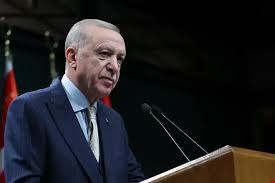 توافق نظامی و اقتصادی ترکیه و امارات؛ اردوغان و بن زاید چه می‌خواهند؟