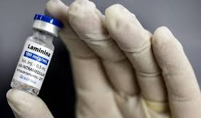 Brasileira cria vacina que cura pessoas tetraplégicas e pode ganhar o Nobel da Medicina por isso