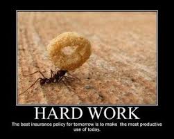 Hard Work Quotes | Hard Work Pays off Quotes and Sayings | Humour ... via Relatably.com