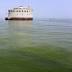 Group: Designate of all of Lake Erie as impaired