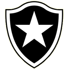 Resultado de imagem para escudos do botafogo, vitoria, santa cruz e america mg imagens