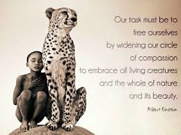 Genius Quotes And Sayings. QuotesGram via Relatably.com