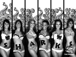 Resultado de imagem para Sharks v Bulls CHEERLEADERS