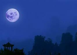 Kết quả h&igrave;nh ảnh cho nguy&ecirc;n ti&ecirc;u