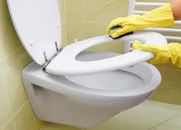 toilet bowls cleaning ile ilgili görsel sonucu