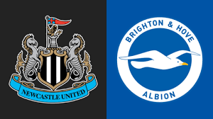 newcastle vs brighton