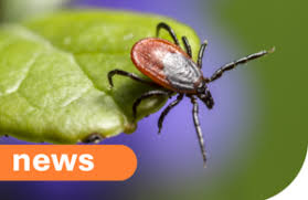 GOV.UK - News update
