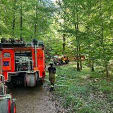Waldbrand auf tausenden Quadratmetern: Stuttgarter Feuerwehr kämpft mit schwierigem Gelände