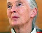 Last year, the Washington Post&#39;s Steven Levingston reported that noted primatologist Jane Goodall had plagiarized significant chunks of her then-upcoming ... - shutterstock_31970350-146x115