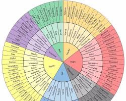 Image of Mood wheel