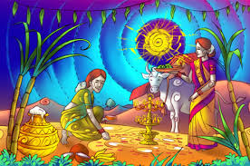 Image result for pongal festival images