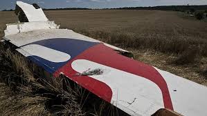 Image result for mh17 wings
