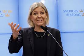 Andersson: SD har inget emot "somalitowns"
