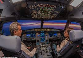 Image result for 777 pilot seat