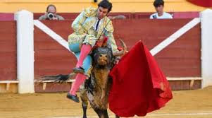 diariodenavarra.es - News update