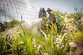 Earth Day 2026: What you can do to promote conservation, climate action