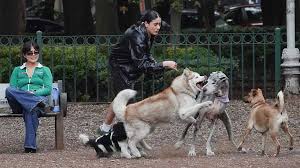 20 De Febrero Que Se Celebra