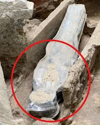 7th-Century Monastic Relics Discovered Beneath a Church in Northern Poland #facts #history