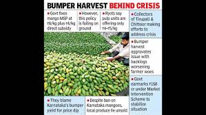 MSP for Totapuri mango fails to ease crisis in Tirupati, Chittoor