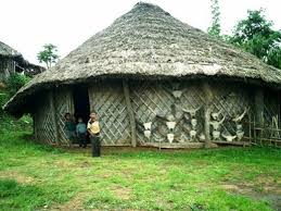 Image result for nagaland images