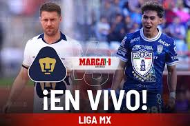 MARCA - News update